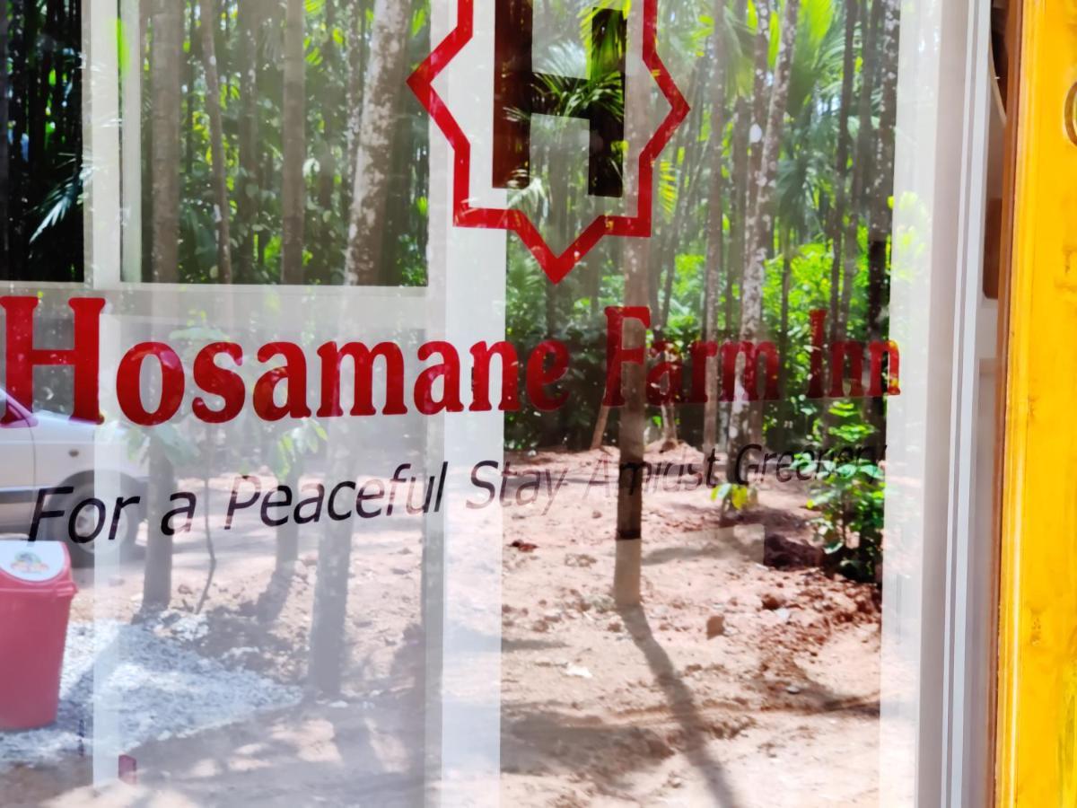 Hosamane Farm Inn Sringeri Extérieur photo