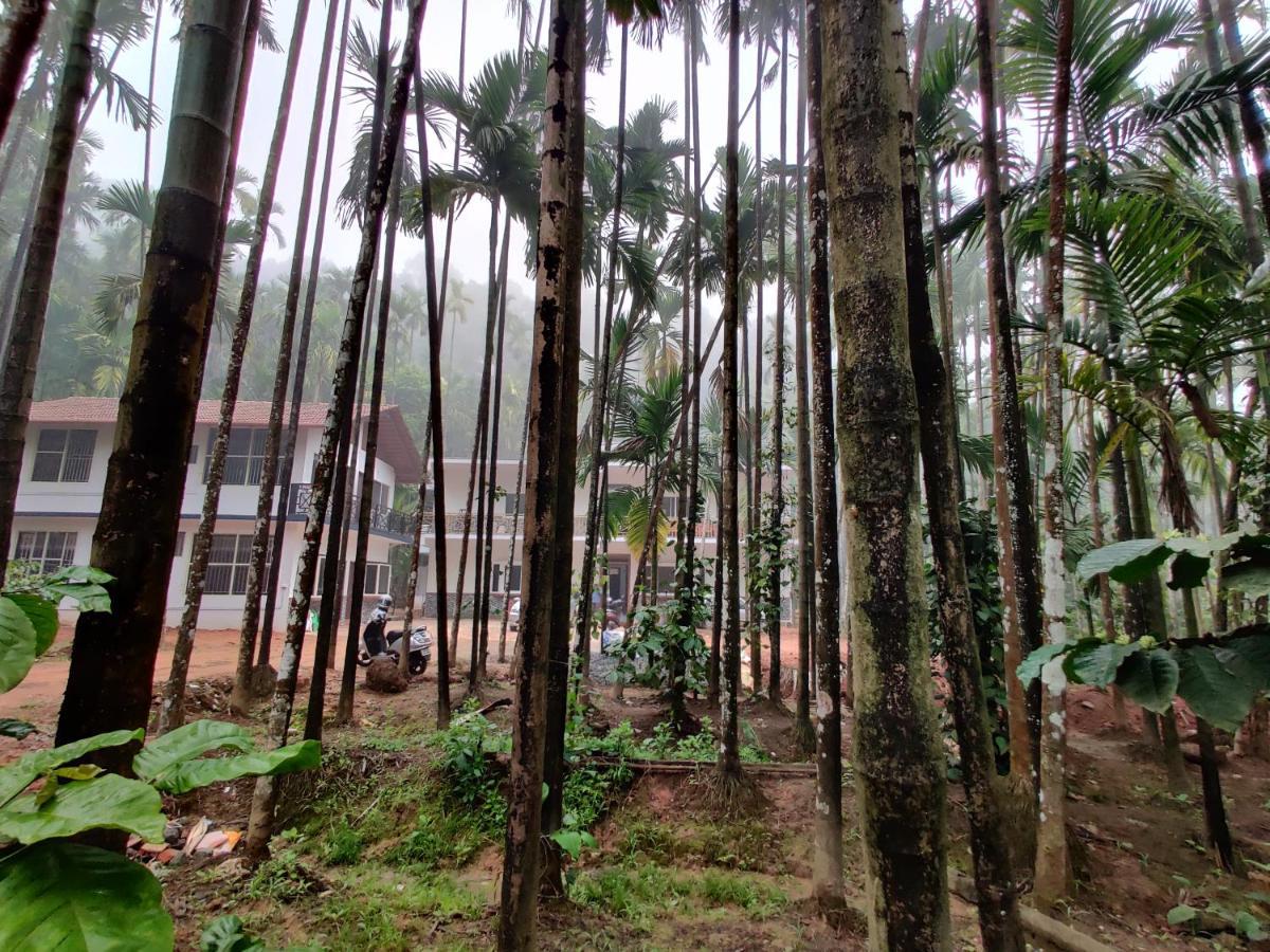 Hosamane Farm Inn Sringeri Extérieur photo
