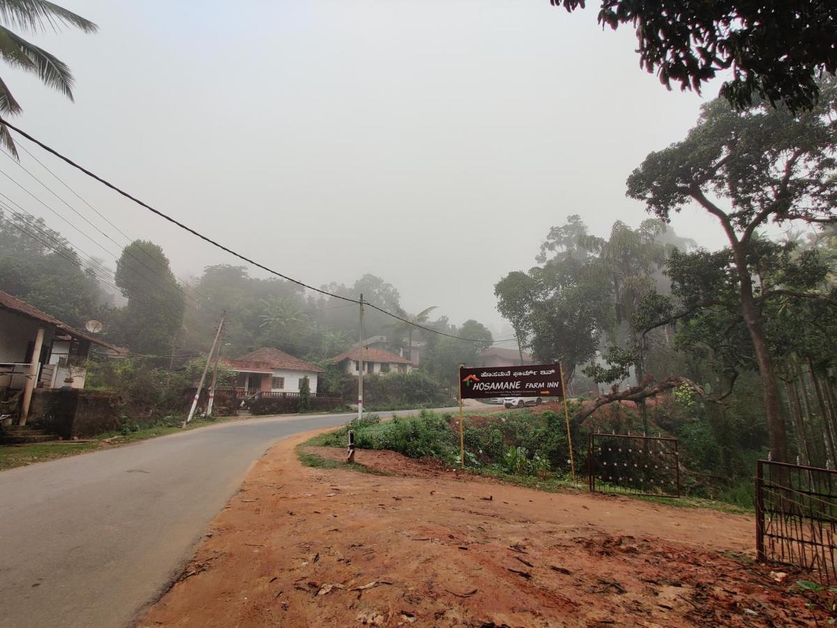 Hosamane Farm Inn Sringeri Extérieur photo