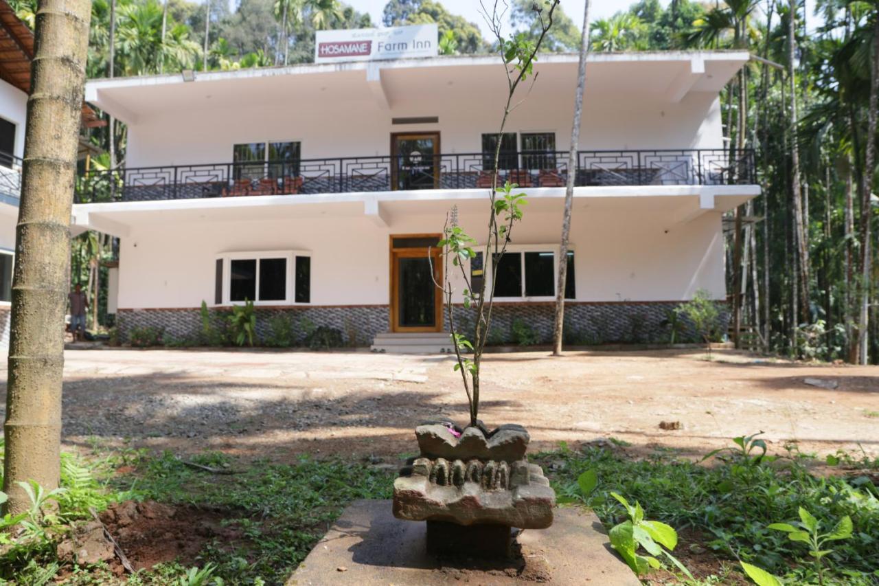 Hosamane Farm Inn Sringeri Extérieur photo