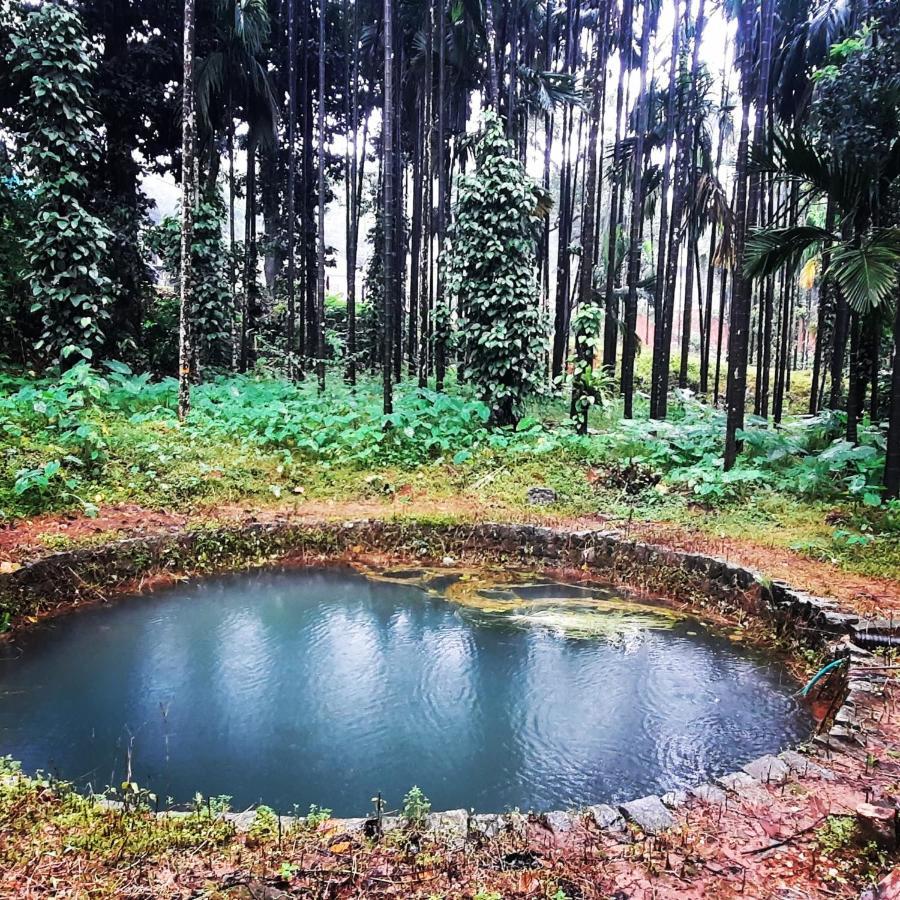 Hosamane Farm Inn Sringeri Extérieur photo